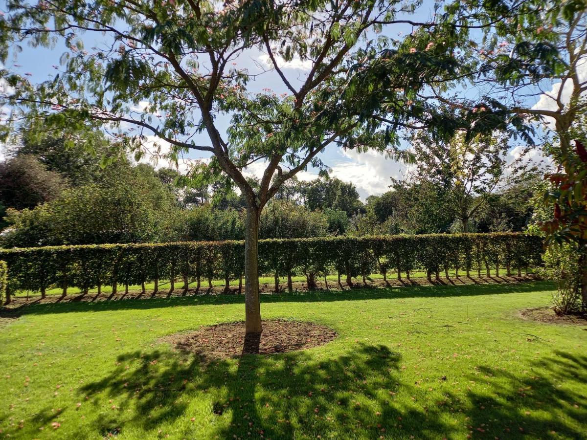 Les Bleuets Villa Mandeville-en-Bessin Bagian luar foto